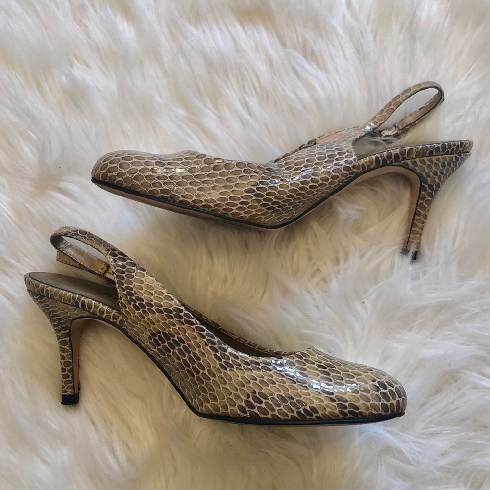 🔥 VANELI Snake Skin Heels